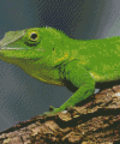 Anolis Garmani Reptile Diamond Painting