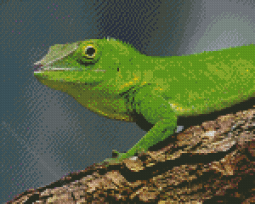 Anolis Garmani Reptile Diamond Painting