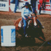 Barrel Racer Diamond Painting