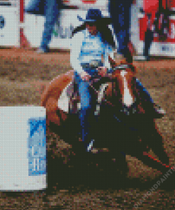 Barrel Racer Diamond Painting