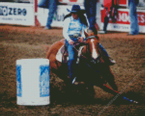 Barrel Racer Diamond Painting