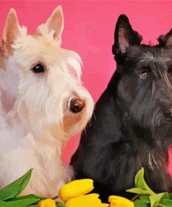 black and white scottish terrier dogs Diamond Dotz