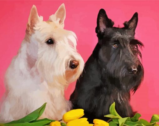 black and white scottish terrier dogs Diamond Dotz