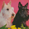 black and white scottish terrier dogs Diamond Dotz