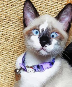 cute Siamese oriental cat Diamond Dotz