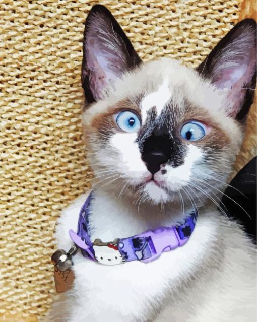 cute Siamese oriental cat Diamond Dotz