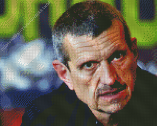 Guenther Steiner Diamond Painting