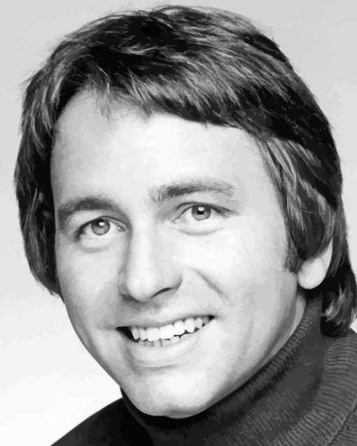 John Ritter Diamond Painting