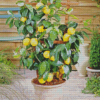 Lemon Plant Diamond Painting