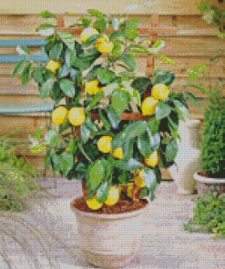 Lemon Plant Diamond Painting