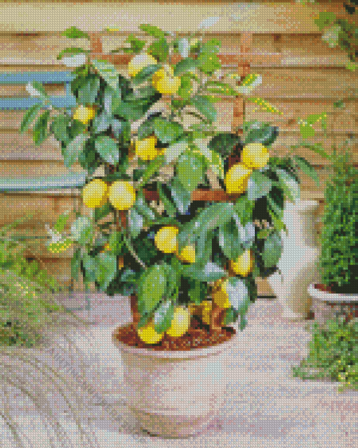 Lemon Plant Diamond Painting