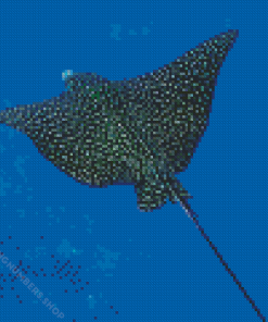 Manta Rays Diamond Painting