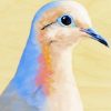 mourning dove bird Diamond Paintings