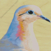 mourning dove bird Diamond Paintings