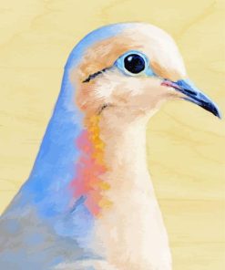 mourning dove bird Diamond Paintings