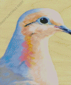 mourning dove bird Diamond Paintings