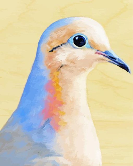 mourning dove bird Diamond Paintings