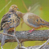 mourning dove couple Diamond Paintings