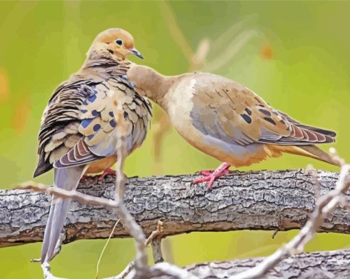 mourning dove couple Diamond Paintings