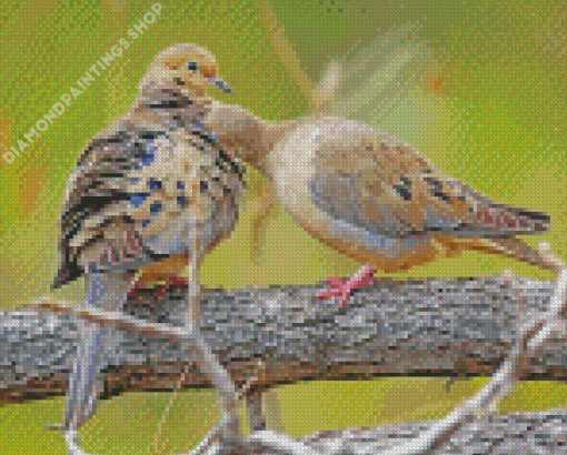 mourning dove couple Diamond Paintings