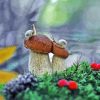 Mushroom and Snail Diamond Painting