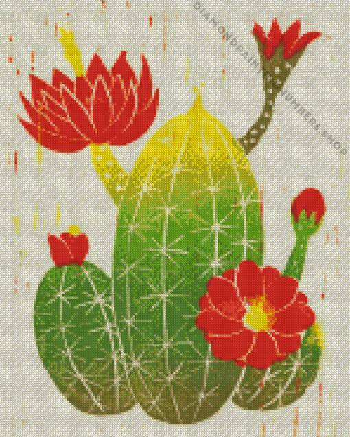 red Cactus flower Diamond By Numbers