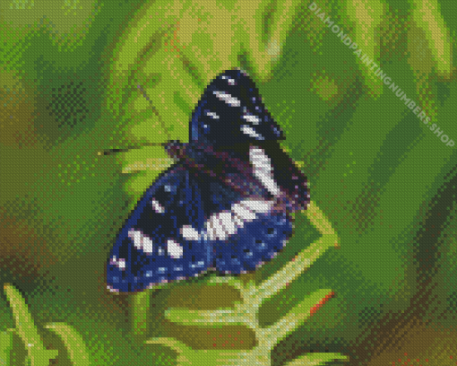 White Admiral Diamond Painting