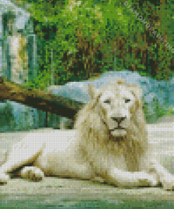 Aesthetic white lion Diamond Paintings