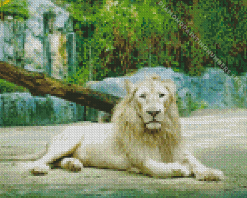 Aesthetic white lion Diamond Paintings