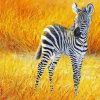 Aesthetic zebra baby Diamond Paintings