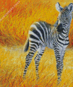 Aesthetic zebra baby Diamond Paintings