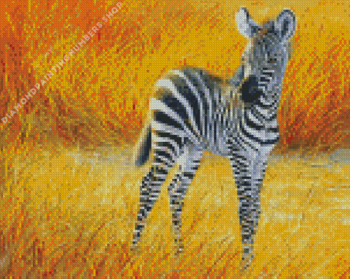 Aesthetic zebra baby Diamond Paintings