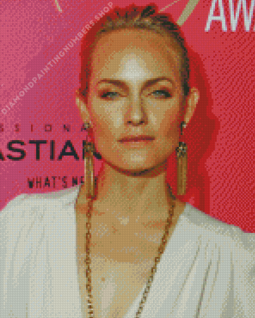 Amber Valletta Diamond By Numbers