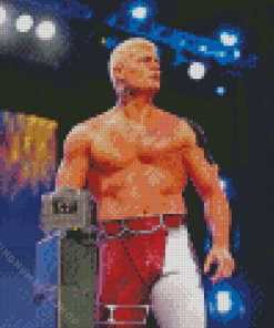 American Professional Wrestler Cody Rhodes Diamond Paintings