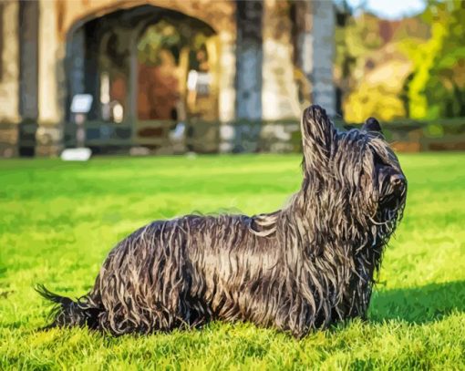 Black Skye Terrier Dog Diamond Paints