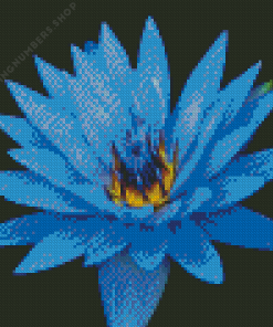 Blue water lily flower Diamond By Numbers