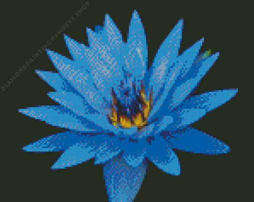 Blue water lily flower Diamond By Numbers