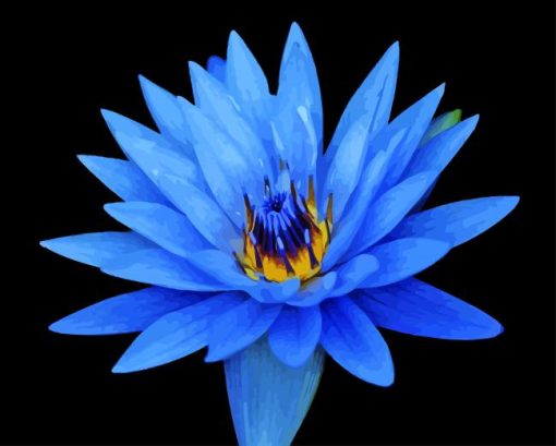 Blue water lily flower Diamond By Numbers