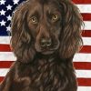 Boykin Spaniel Diamond With Numbers