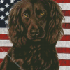 Boykin Spaniel Diamond With Numbers