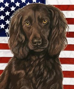 Boykin Spaniel Diamond With Numbers