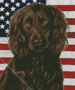 Boykin Spaniel Diamond With Numbers