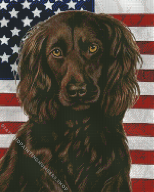 Boykin Spaniel Diamond With Numbers