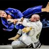 Brazilian jiu jitsu Sport Combat Diamond By Numbers