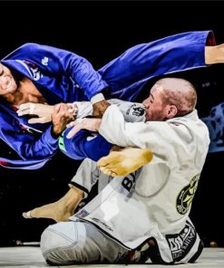 Brazilian jiu jitsu Sport Combat Diamond By Numbers