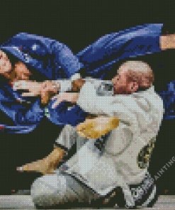 Brazilian jiu jitsu Sport Combat Diamond By Numbers