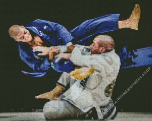 Brazilian jiu jitsu Sport Combat Diamond By Numbers