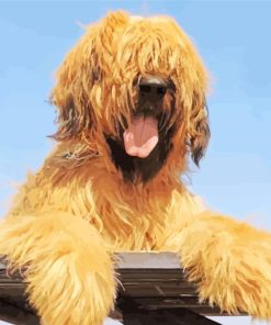 Briard Puppy Dog Diamond Paintings