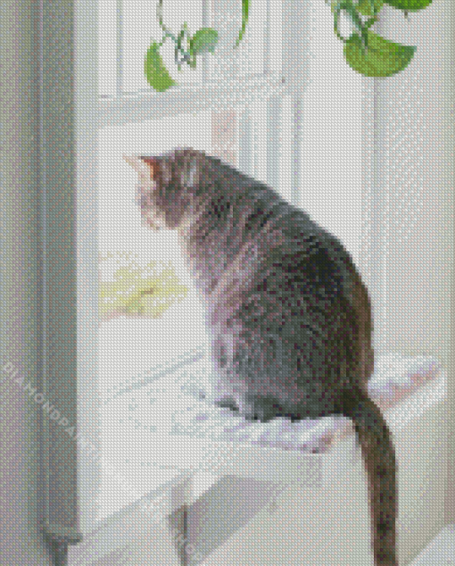 Cat by window Diamond By Numbers