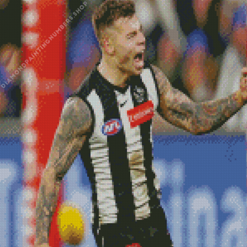 Collingwood Australian FC Player Diamond Paints